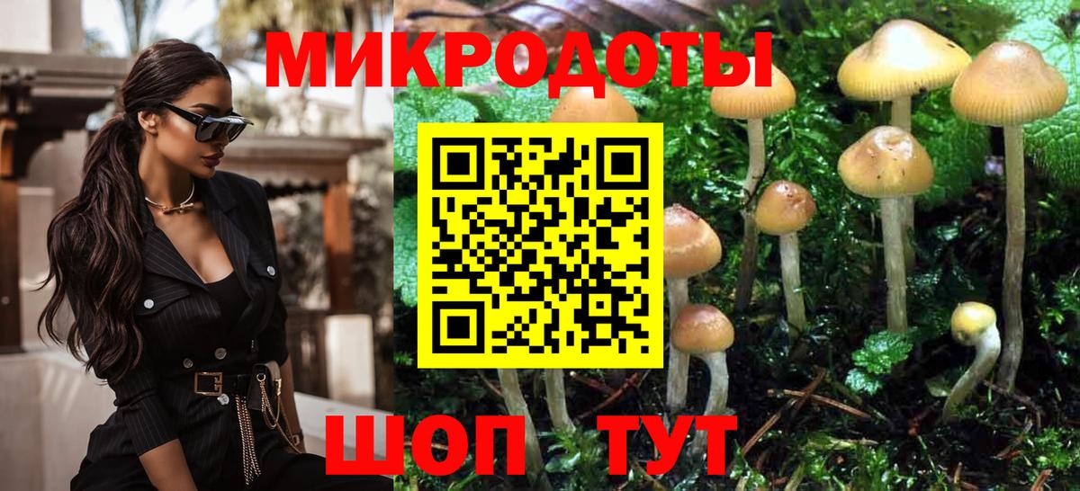 Псилоцибиновые грибы мицелий Муром