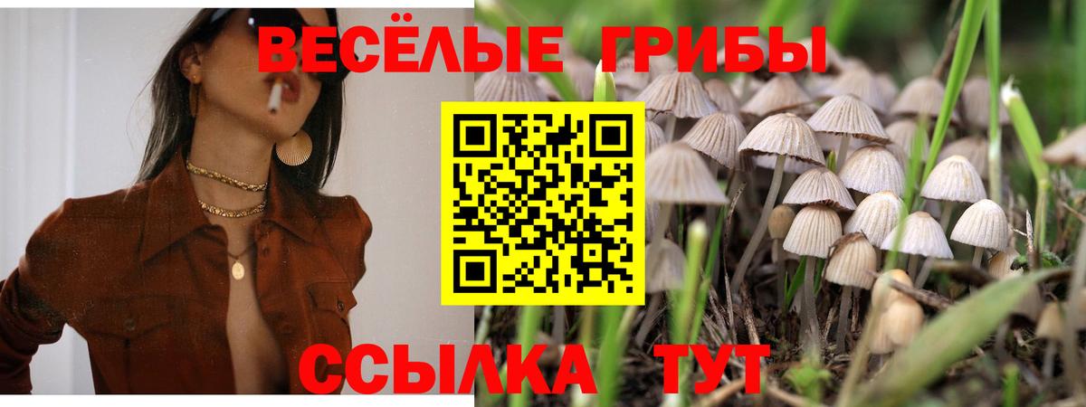 Муром  Галлюциногенные грибы ЛСД  Вход с VPN 